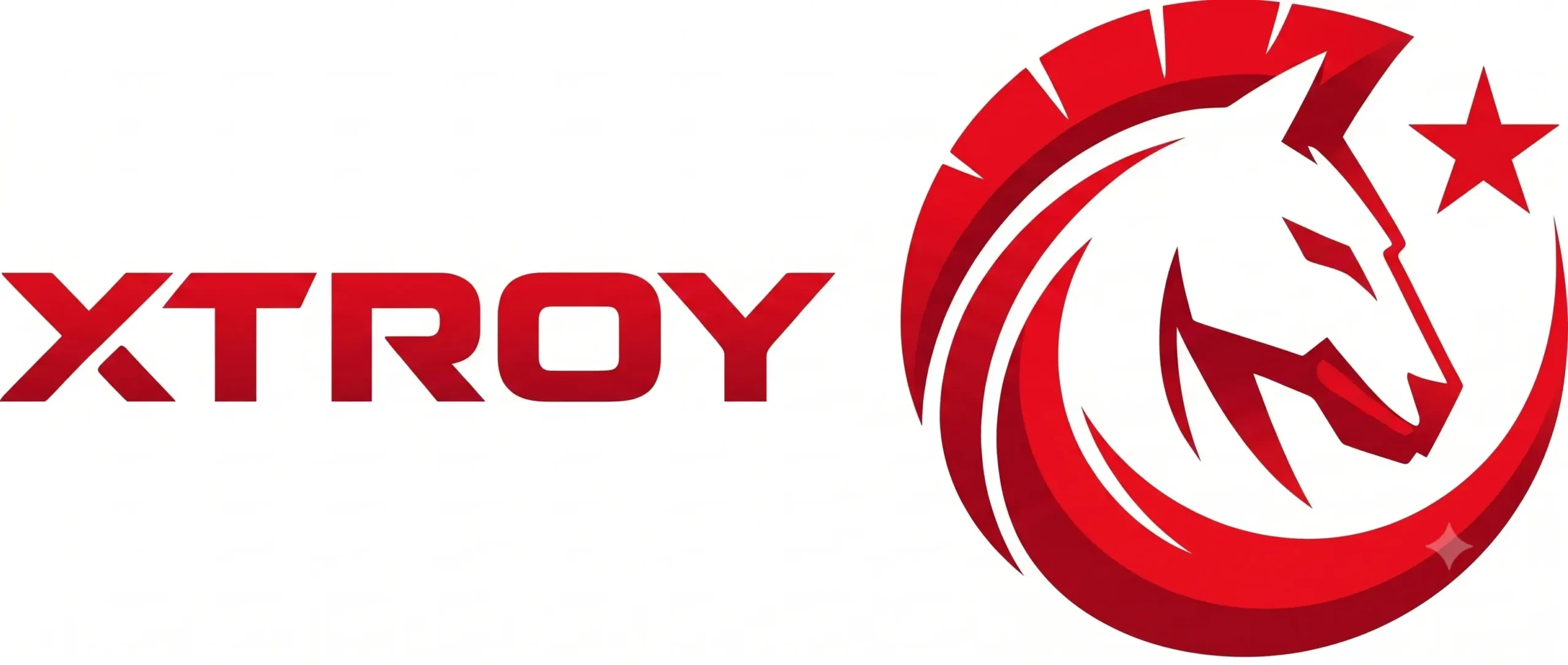 xtroy.com.tr